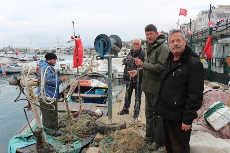 Bursa'da kıyı balıkçılığı bitme noktasına geldi