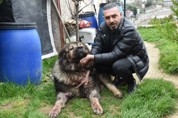 Yakalamak istediği k&ouml;peği pompalı t&uuml;fekle vurdu