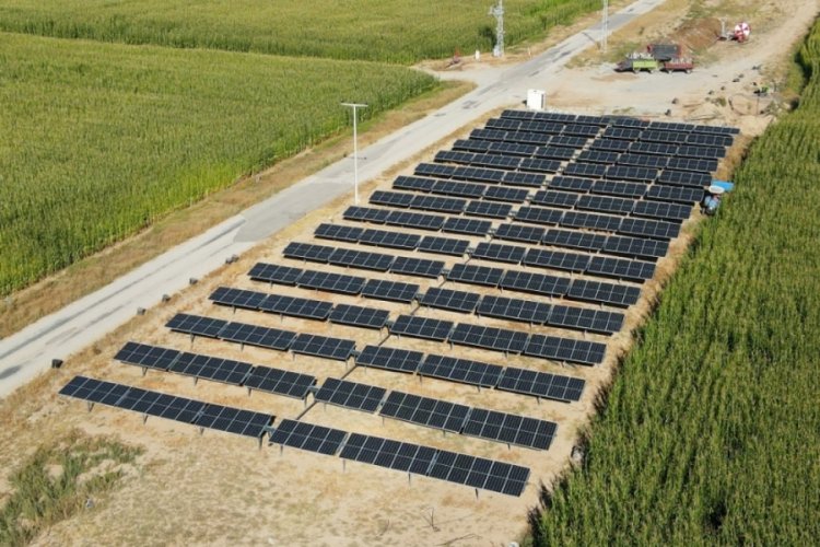 CW Enerji Solar Sulama Sistemleri ile enerji maliyetlerini azaltıyor