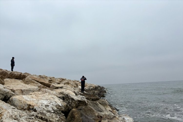 Marmara Denizi'nde batan geminin enkazına 41. dalış yapıldı