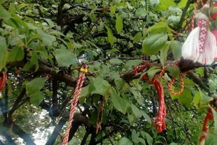 Baba Marta (Marta Nine) g&uuml;nleri ne zaman başlar?