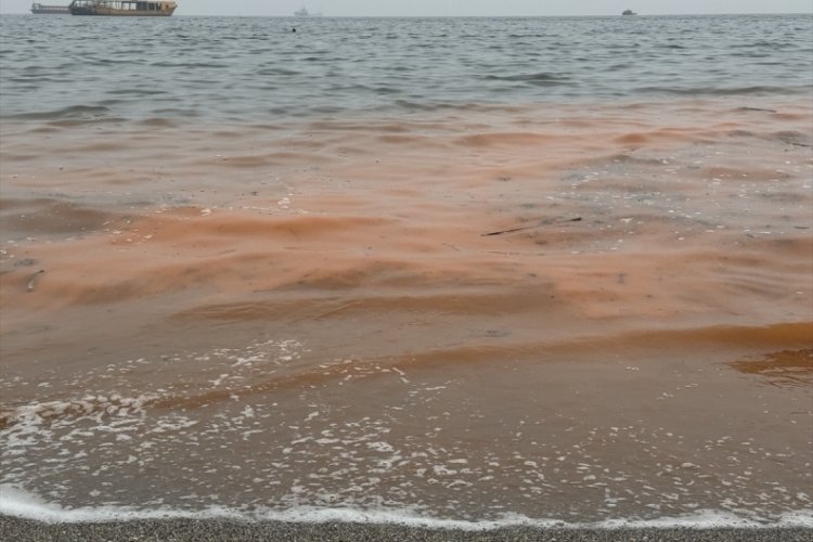 Tekirdağ'da deniz suyu renk değiştirdi