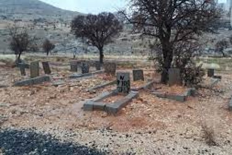Mardin'de bir adam mezarlıkta kestiği ağacın altında kaldı! Hayatını kaybetti