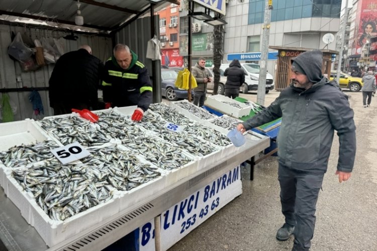 Zonguldak'ta fiyatı 50 liraya d&uuml;şen istavrite yoğun ilgi