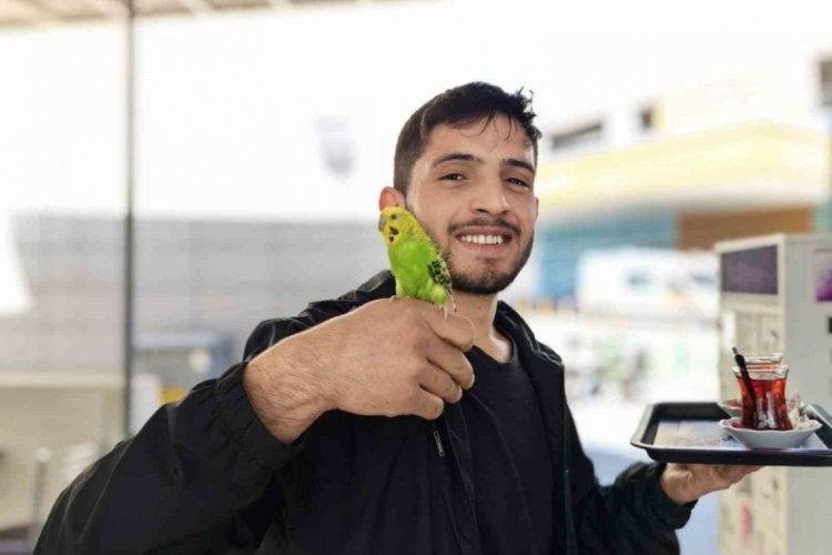 Bursa'da &ccedil;ay servisi İbiş'ten