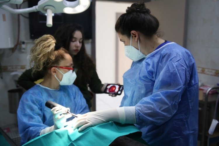 Bursa'da yaşayan 'Cing&ouml;z' isimli sokak k&ouml;peği artık g&ouml;remeyecek!