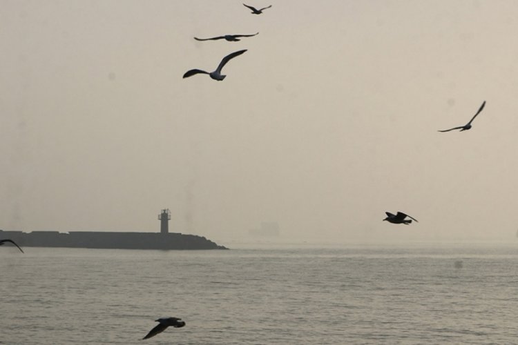 G&uuml;ney Marmara-Adalar hattına sis engeli