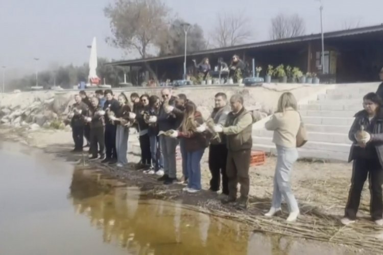 Bursa'da tedavisi tamamlanan &ouml;rdekler doğaya salındı