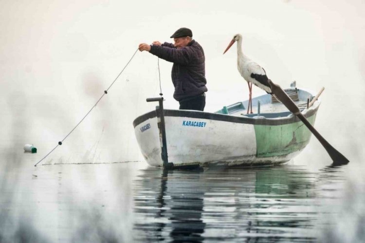 "Leylek k&ouml;y&uuml;"ndeki yuvasına 13. kez konan Yaren, turizmi hareketlendirdi
