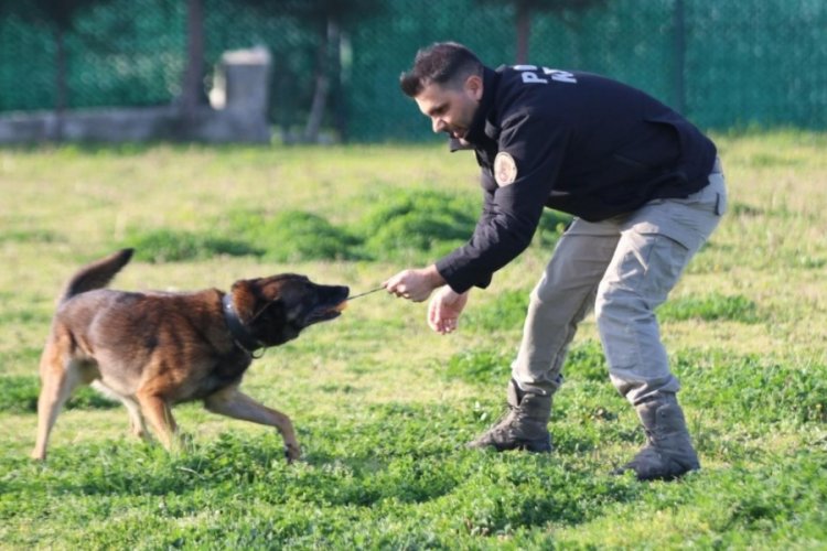 "Ares" ve "Lina" uyuşturucuya ge&ccedil;it vermiyor