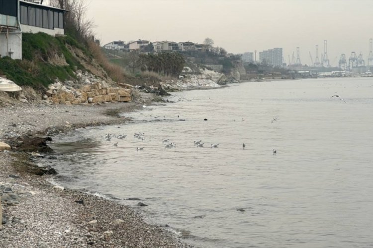 İstanbul'da denize akan kanalizasyon suyu kirliliğe neden oldu