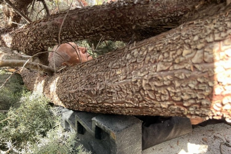 Burdur'da ağa&ccedil; devrilen başkan adayının ayağı kırıldı