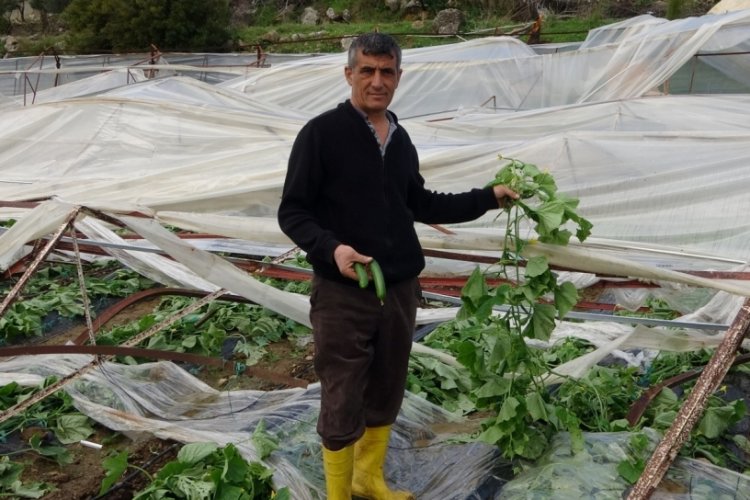 Alanya'da hortum 250 d&ouml;n&uuml;mden fazla seraya zarar verdi