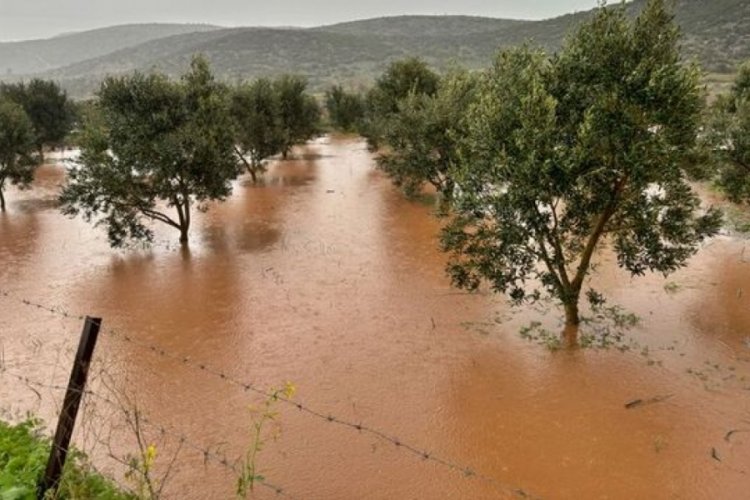 Osmaniye'de tarım arazileri sular altında kaldı