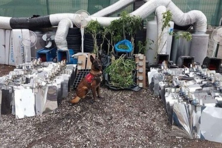 Ankara'da 10 kilo esrar ele ge&ccedil;irildi: 1 g&ouml;zaltı