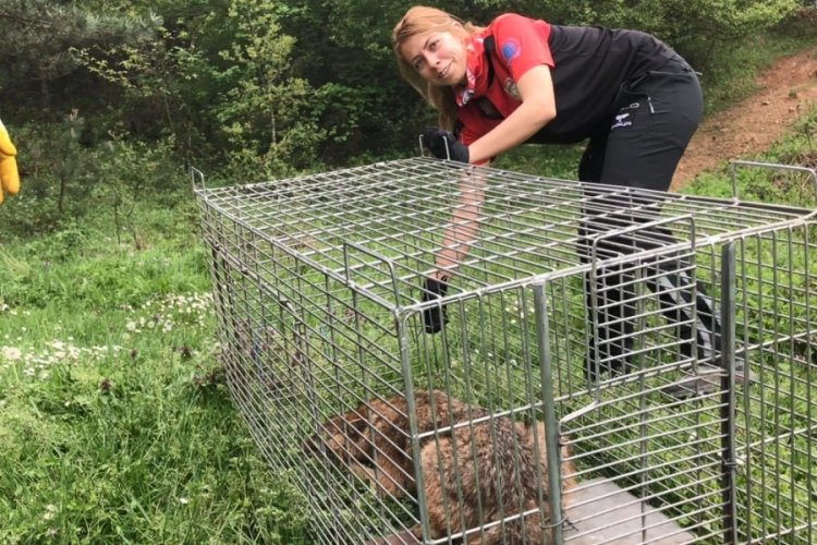 NAK'ın kadın operasyon sorumlusu 400'&uuml; aşkın operasyonda binlerce canlının hayatına dokundu