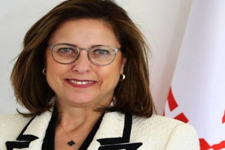 DP Genel Başkan Yardımcısı Aksoy istifa etti