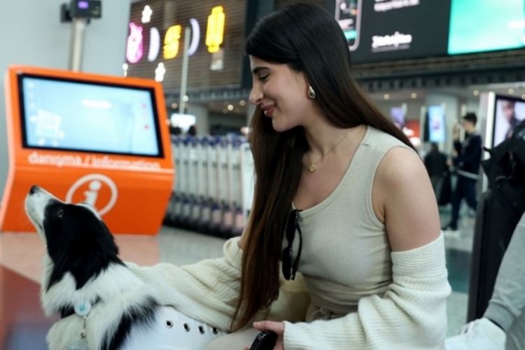 İstanbul Havalimanı'nda "terapi k&ouml;pekleri" g&ouml;rev başında
