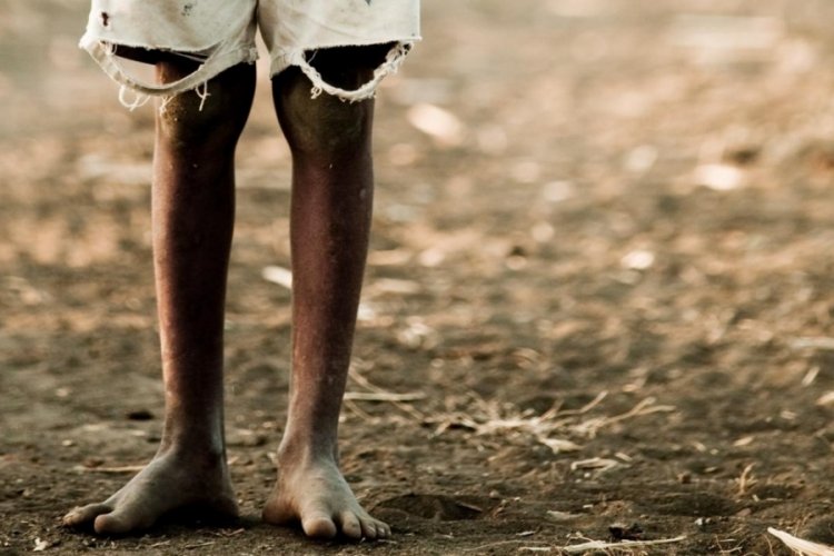Kenya'da 191 &ccedil;ocuğun &ouml;l&uuml;m&uuml;yle ilgili su&ccedil;lanan "a&ccedil;lık tarikatı" lideri yargılanıyor