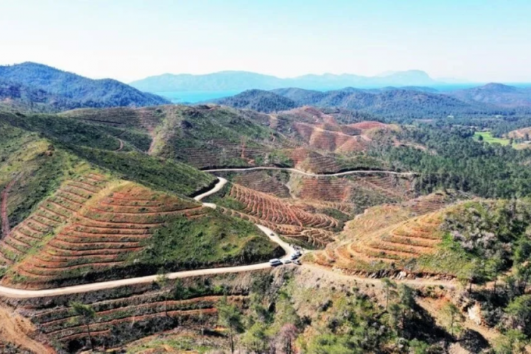 Milas'ta yanan ormanlar k&uuml;llerinden doğuyor