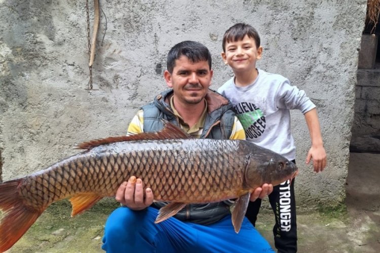 Bursa İznik G&ouml;l&uuml;'nde 25 kiloluk sarı balık yakalandı