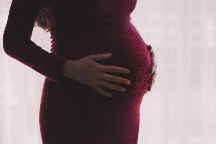 T&uuml;p bebek merkezinin lisansı, embriyo kaybı sebebiyle askıya alındı