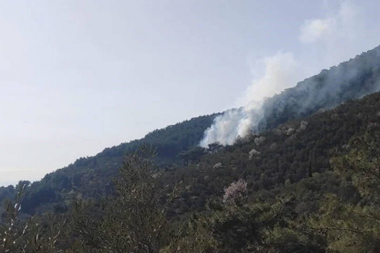 Kazdağları'nda orman yangını &ccedil;ıktı!