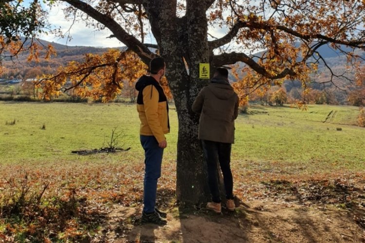 MysiaYolları'nın &ccedil;alışmaları devam ediyor
