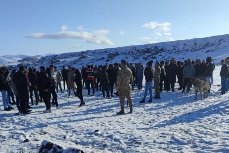 Niğde'de k&ouml;pek d&ouml;v&uuml;şt&uuml;ren 83 kişi su&ccedil;&uuml;st&uuml; yakalandı
