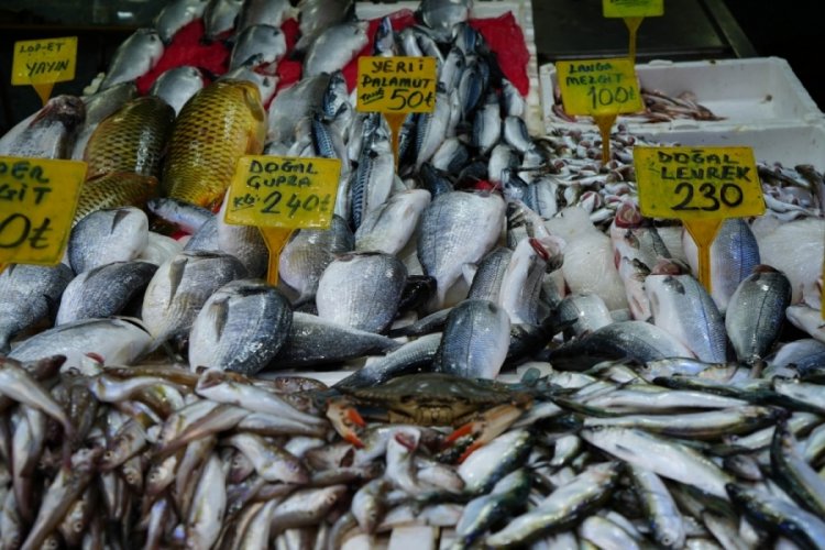 'Mavi yengeçler' Karadeniz'de oldukça sık görülmeye başlandı