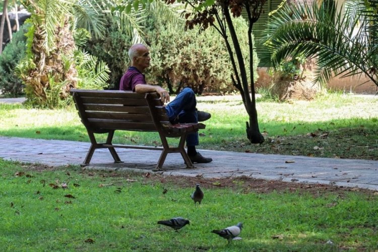 Şubat'ta Adana 29,5, Ardahan eksi 28,7 dereceyi gördü