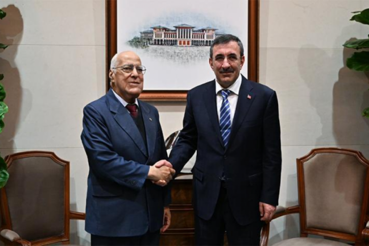 Cumhurbaşkanı Yardımcısı Yılmaz, K&uuml;ba Başbakan Yardımcısı ile g&ouml;r&uuml;şt&uuml;