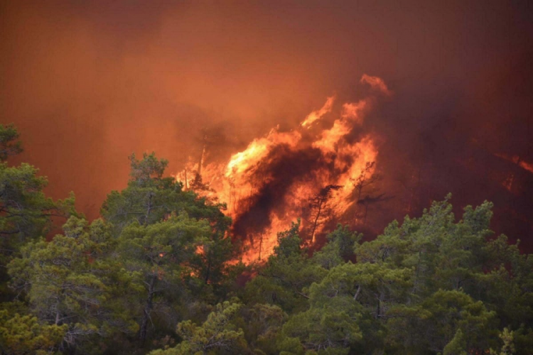 Muğla Marmaris'teki orman yangının sanığının cezası onandı