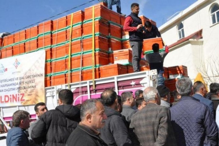 Batman'da organik bal &uuml;reticilerine kovan desteği