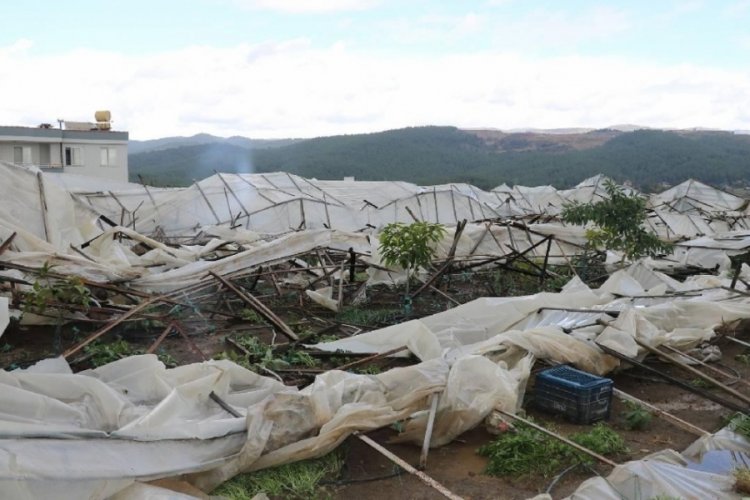 TARSİM'den Antalya'daki hortumdan etkilenenlere 39 milyon lira &ouml;deme