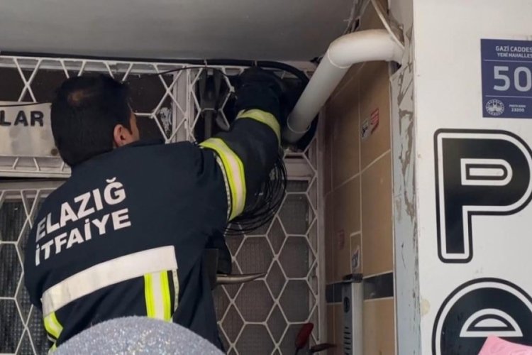 Elazığ'da kedi kurtarma operasyonunda itfaiye ile uğraştılar