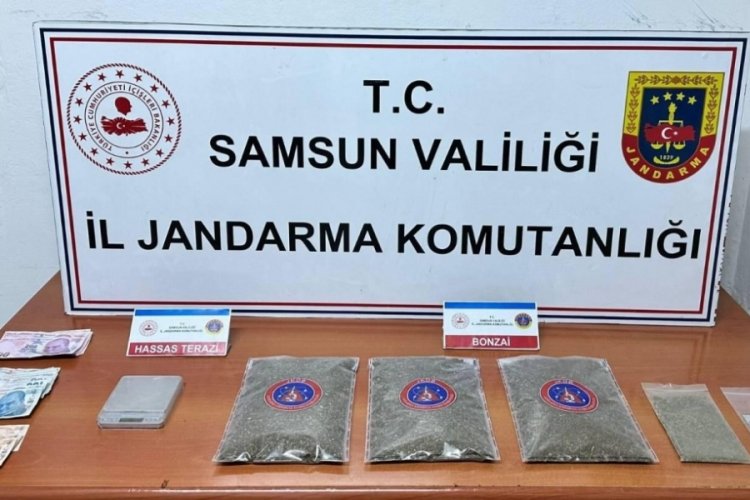 Samsun'da jandarma 1 kilo 50 gram bonzai ele ge&ccedil;irdi: 1 g&ouml;zaltı