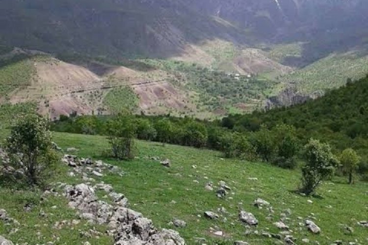 Siirt'te jeotermal kaynak arama ruhsat sahası ihale edilecek