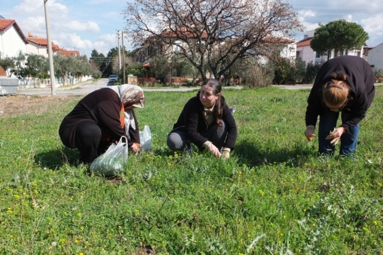 Balıkesir'de ot festivali d&uuml;zenlenmesi isteniyor