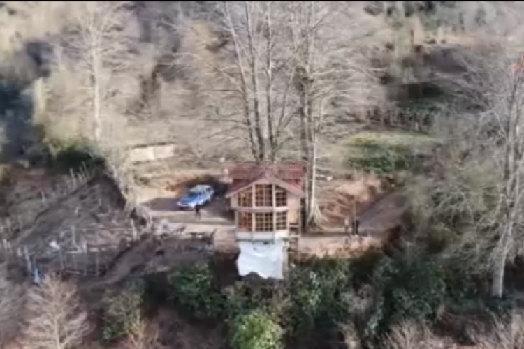 Rize'de 150 yıllık ağacın g&ouml;vdesine 2+1 ev yaptı