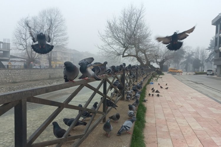D&uuml;zce'de g&ouml;r&uuml;ş mesafesi yer yer 20 metreye kadar d&uuml;şt&uuml;