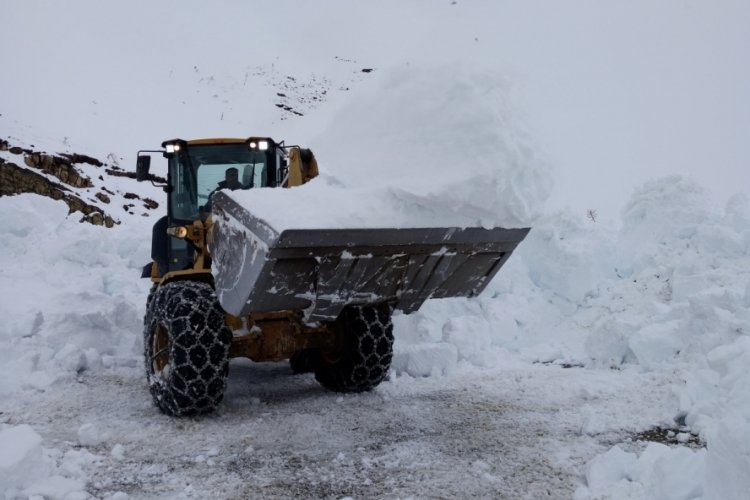 Ardahan-Ardanuç karayolunda karla mücadele çalışması başlatıldı