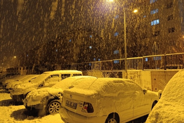 Van'da mart ayında lapa lapa kar yağdı