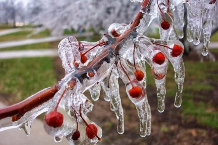 Niğde i&ccedil;in "zirai don" uyarısı