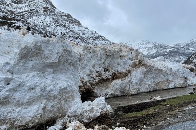 Siirt'te kar nedeniyle yolda mahsur kalan ara&ccedil;lar kurtarıldı