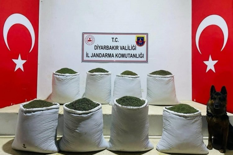 Diyarbakır'da 169 kilo esrar ele ge&ccedil;irildi
