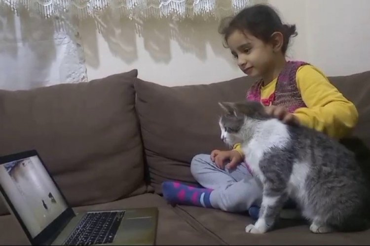 Kars'ta küçük kızın kedisi oyunların bağımlısı oldu