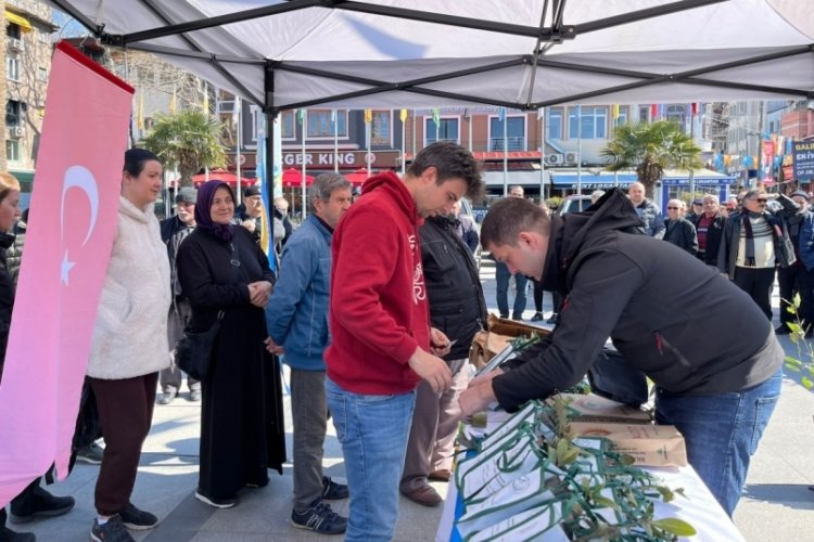 Bandırma Orman İşletme M&uuml;d&uuml;rl&uuml;ğ&uuml; fidan dağıtımıyla orman haftasını kutladı