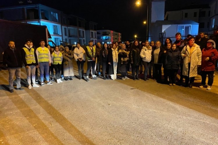 Bursa'da yavru kedilerin katledilmesine hayvanseverlerden tepki