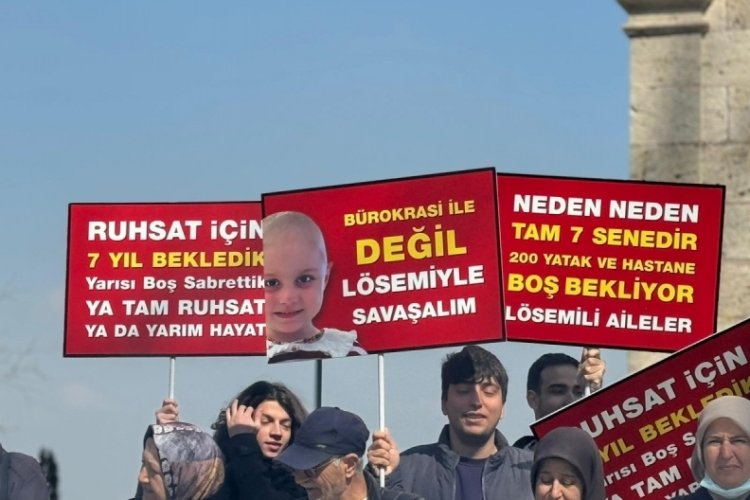 L&Ouml;SEV'den Sağlık Bakanlığı'na ruhsat tepkisi&nbsp;